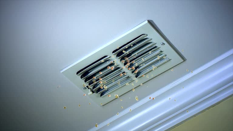 Best Air Duct Cleaning Near Me  in Bayard, NE