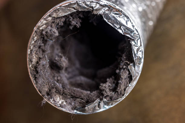 Best Ductwork Cleaning Services  in Bayard, NE