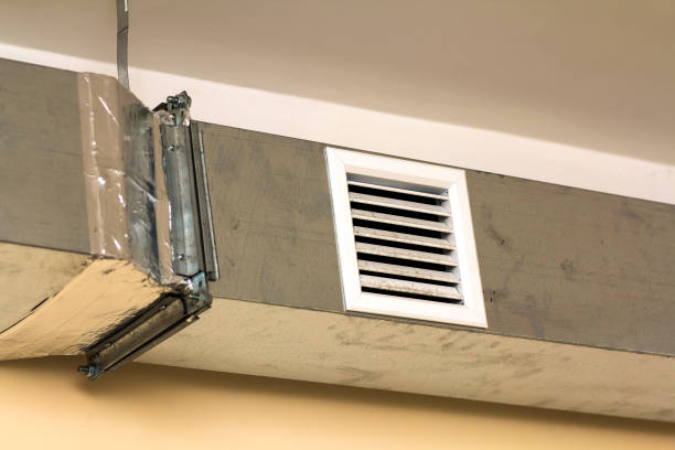 Best Air Vent Cleaning Services  in Bayard, NE